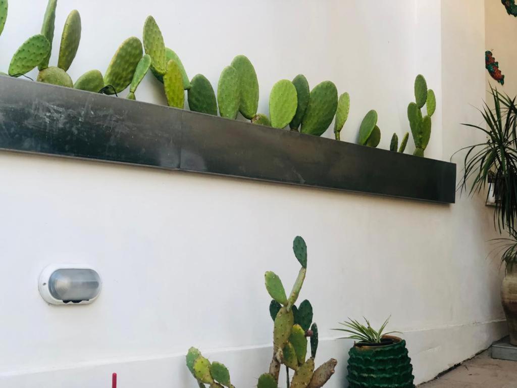 Sicily Holiday House Apartment Avola Ngoại thất bức ảnh
